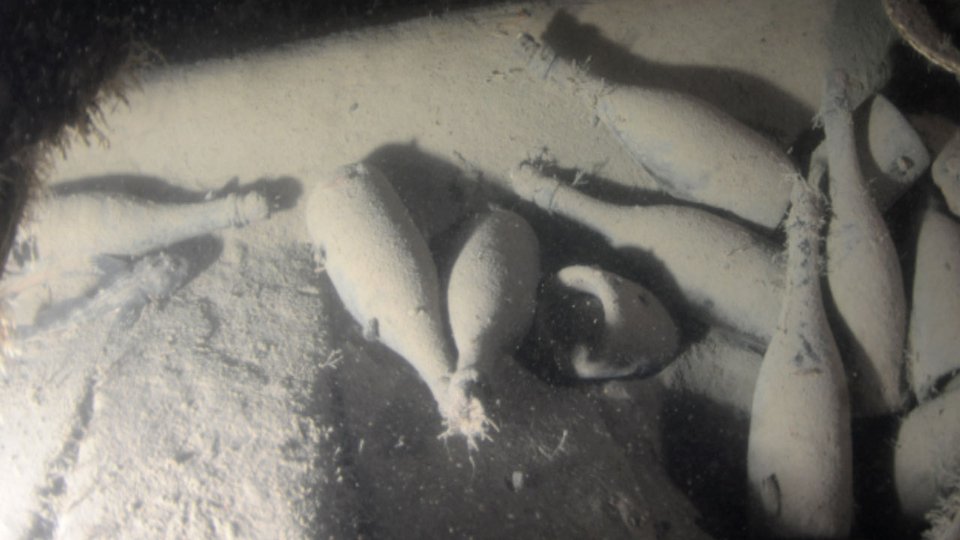  Εξαιρετικής ποιότητας σαμπάνιες ήταν χαμένες 170 χρόνια στο βυθό [εικόνες] | iefimerida.gr 0