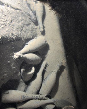  Εξαιρετικής ποιότητας σαμπάνιες ήταν χαμένες 170 χρόνια στο βυθό [εικόνες] | iefimerida.gr 3