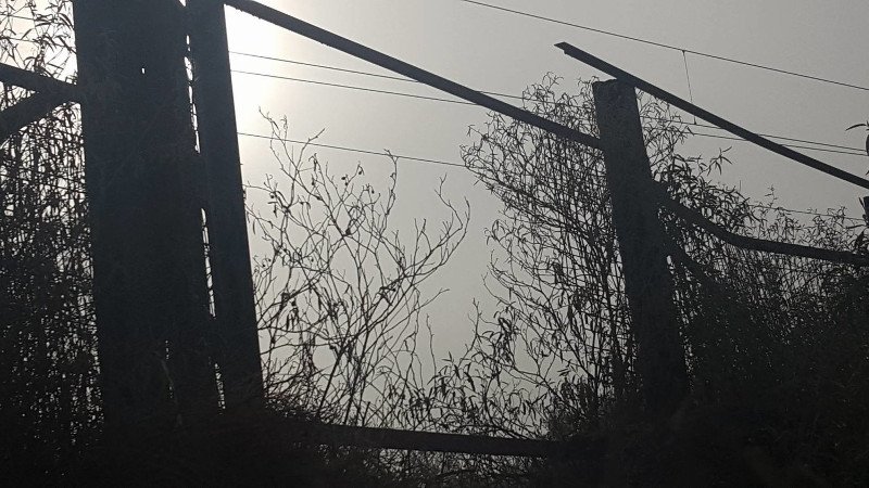 Αυτοψία στις γραμμές στη Λάρισα που παρασύρθηκε ο 12χρονος -Τα «περάσματα θανάτου» [εικόνες & βίντεο] | iefimerida.gr 4