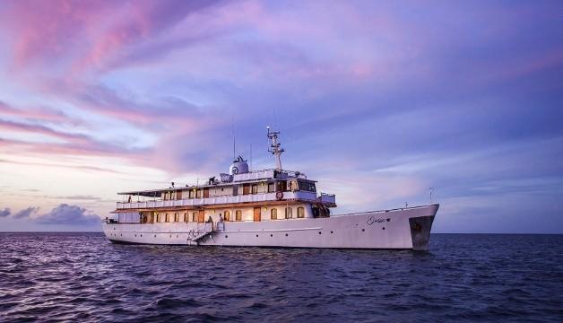 Το σαφάρι του ενός εκατομμυρίου -Διακοπές πολυτελείας δίπλα σε υπό εξαφάνιση ζώα [εικόνες] | iefimerida.gr 5