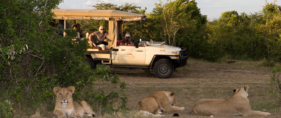 Σαφάρι μόνο για εκατομμυριούχους -Ετσι κάνουν... κατασκήνωση οι προνομιούχοι [εικόνες] | iefimerida.gr 10
