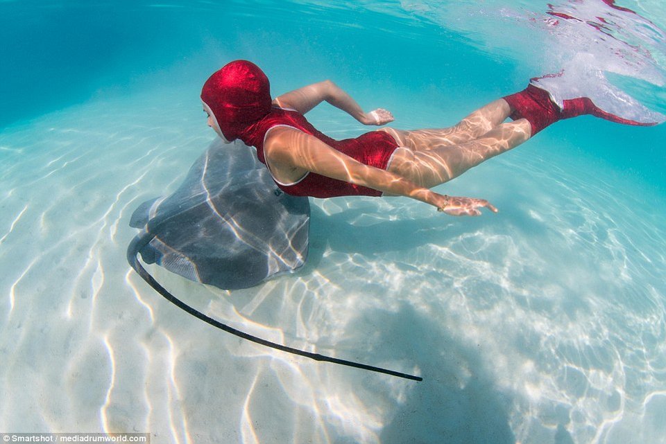 Καλλονές φωτογραφίζονται με γιγαντιαία σαλάχια -Μέσα στο νερό [εικόνες] | iefimerida.gr 9