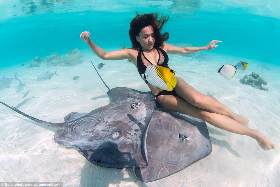 Καλλονές φωτογραφίζονται με γιγαντιαία σαλάχια -Μέσα στο νερό [εικόνες] | iefimerida.gr 1