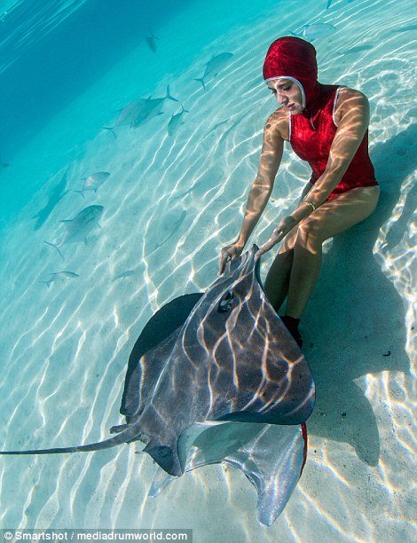 Καλλονές φωτογραφίζονται με γιγαντιαία σαλάχια -Μέσα στο νερό [εικόνες] | iefimerida.gr 3