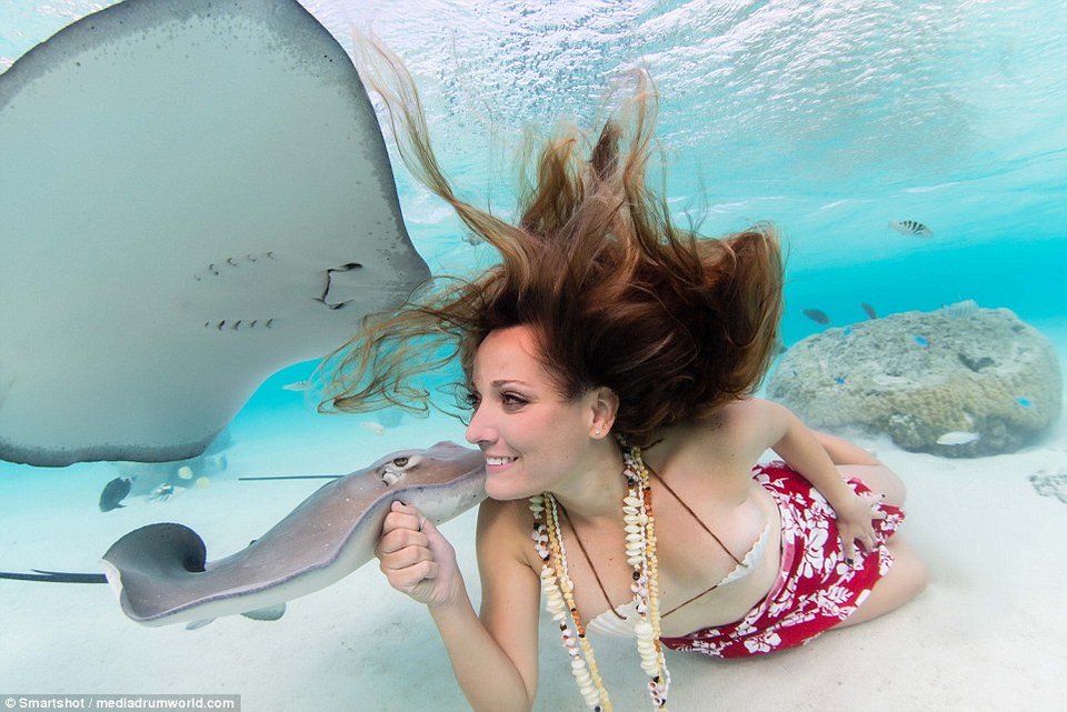 Καλλονές φωτογραφίζονται με γιγαντιαία σαλάχια -Μέσα στο νερό [εικόνες] | iefimerida.gr 4