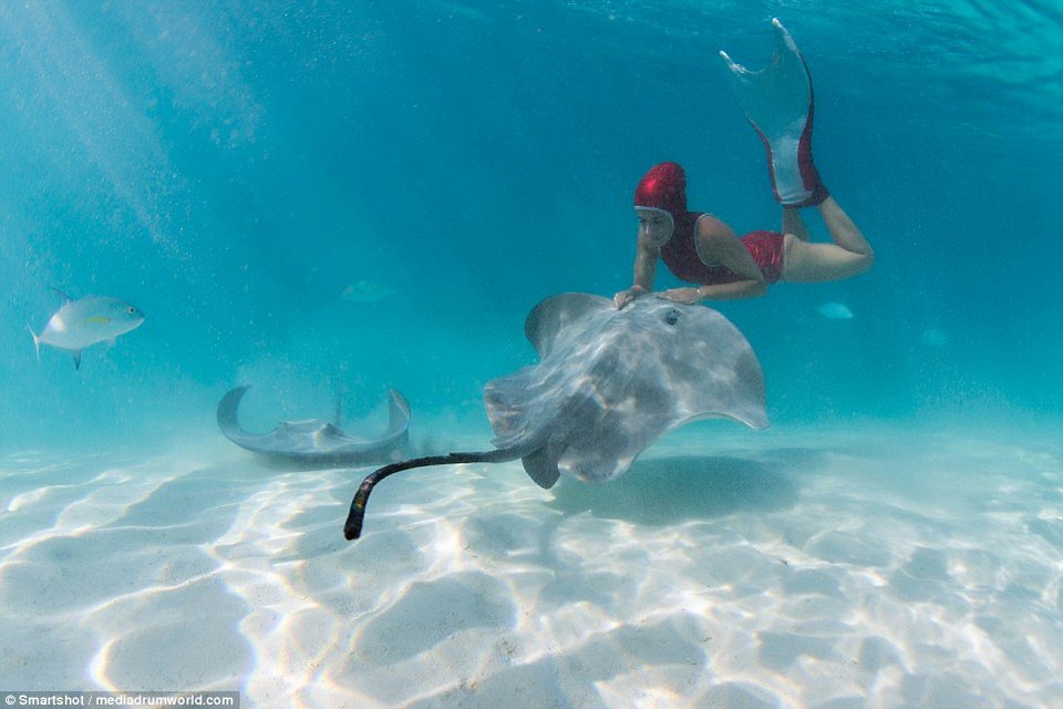 Καλλονές φωτογραφίζονται με γιγαντιαία σαλάχια -Μέσα στο νερό [εικόνες] | iefimerida.gr 6