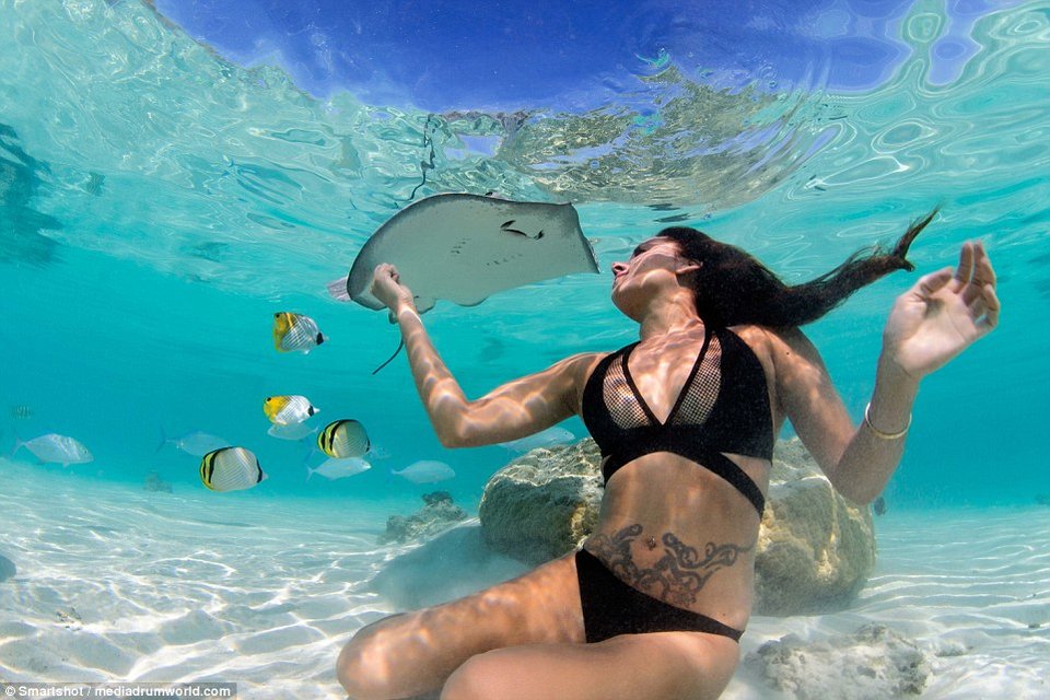 Καλλονές φωτογραφίζονται με γιγαντιαία σαλάχια -Μέσα στο νερό [εικόνες] | iefimerida.gr 7