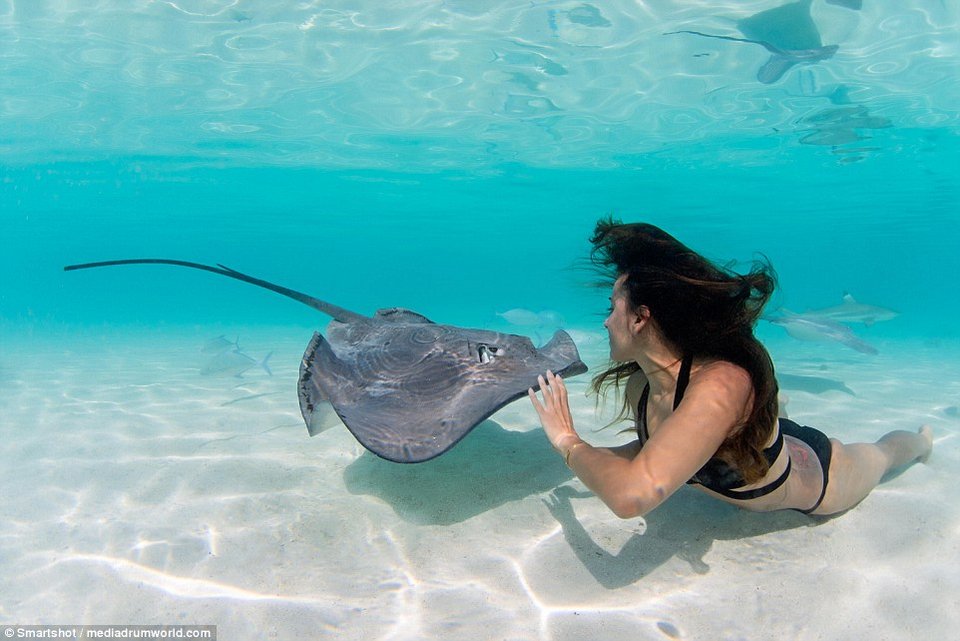 Καλλονές φωτογραφίζονται με γιγαντιαία σαλάχια -Μέσα στο νερό [εικόνες] | iefimerida.gr 8