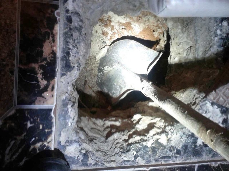 Τα μέλη της «Καμόρα» των Ανω Λιοσίων πάρκαραν τα αυτοκίνητα στα σαλόνια τους [εικόνες] | iefimerida.gr 1