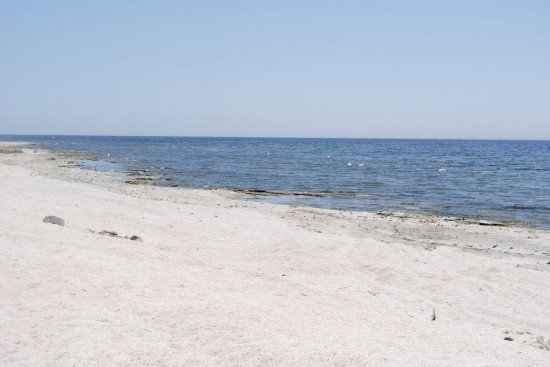 Bombay Beach: Η πόλη φάντασμα στην καλιφορνέζικη έρημο που θυμίζει αποκαλυψιακό τοπίο [εικόνες+βίντεο] | iefimerida.gr 1