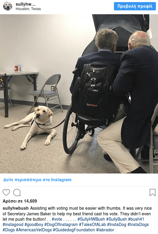 Η Σάλι, το λαμπραντόρ του Μπους, δεν φεύγει στιγμή δίπλα από το φέρετρο [εικόνα]  | iefimerida.gr 3