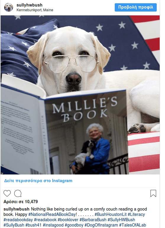 Η Σάλι, το λαμπραντόρ του Μπους, δεν φεύγει στιγμή δίπλα από το φέρετρο [εικόνα]  | iefimerida.gr 4