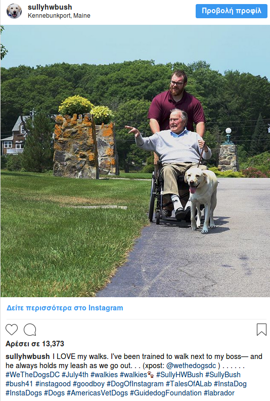 Η Σάλι, το λαμπραντόρ του Μπους, δεν φεύγει στιγμή δίπλα από το φέρετρο [εικόνα]  | iefimerida.gr 2