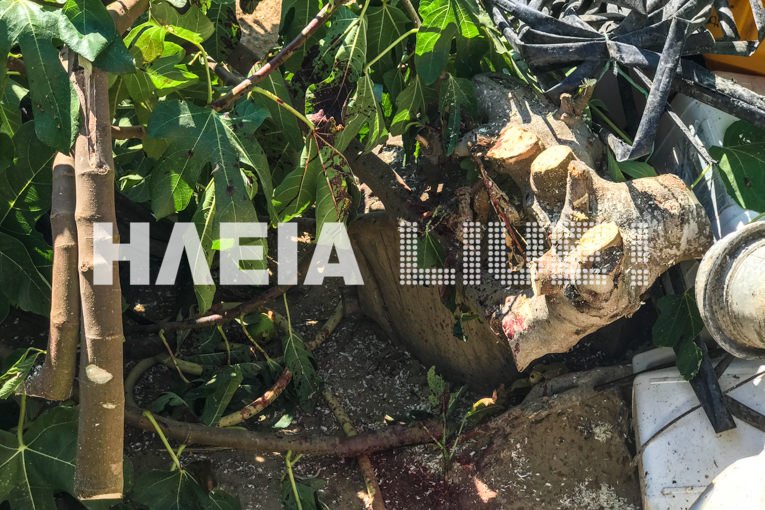  Ηλεία: Φρικτό δυστύχημα - Εχασε τη ζωή του 86χρονος με αλυσοπρίονο [εικόνες & video] | iefimerida.gr 0