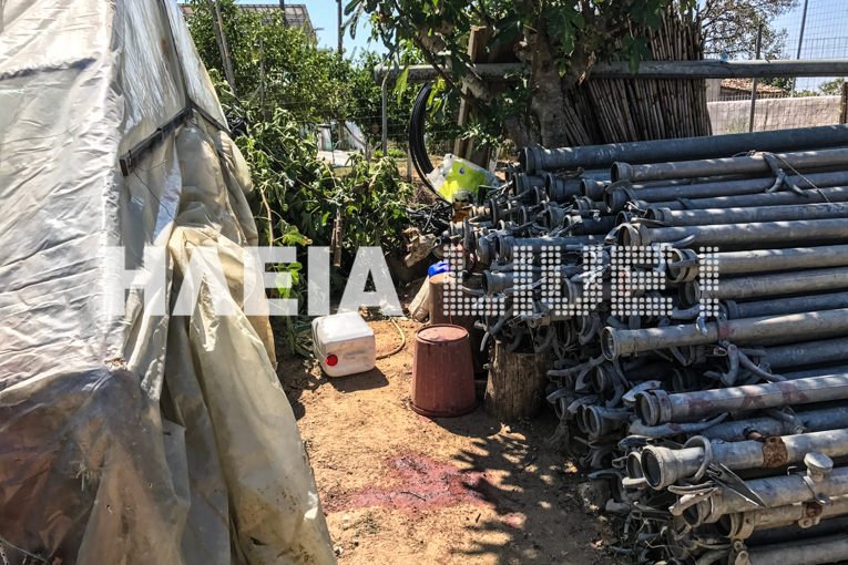  Ηλεία: Φρικτό δυστύχημα - Εχασε τη ζωή του 86χρονος με αλυσοπρίονο [εικόνες & video] | iefimerida.gr 1