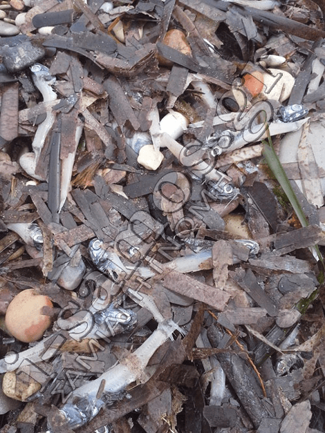 Τεράστια οικολογική καταστροφή στη Σάμο -Εκατοντάδες χιλιάδες νεκρά ψάρια στις ακτές [εικόνες] | iefimerida.gr 4