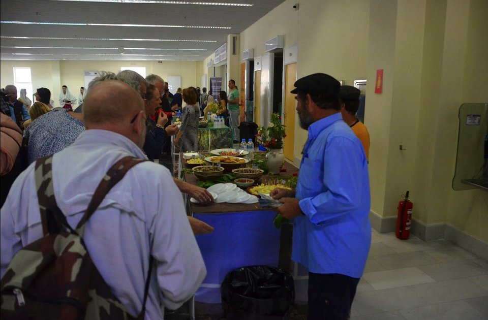 Με χορούς και ούζο υποδέχθηκαν τους πρώτους Σκανδιναβούς τουρίστες στη Σάμο [εικόνες] | iefimerida.gr 9