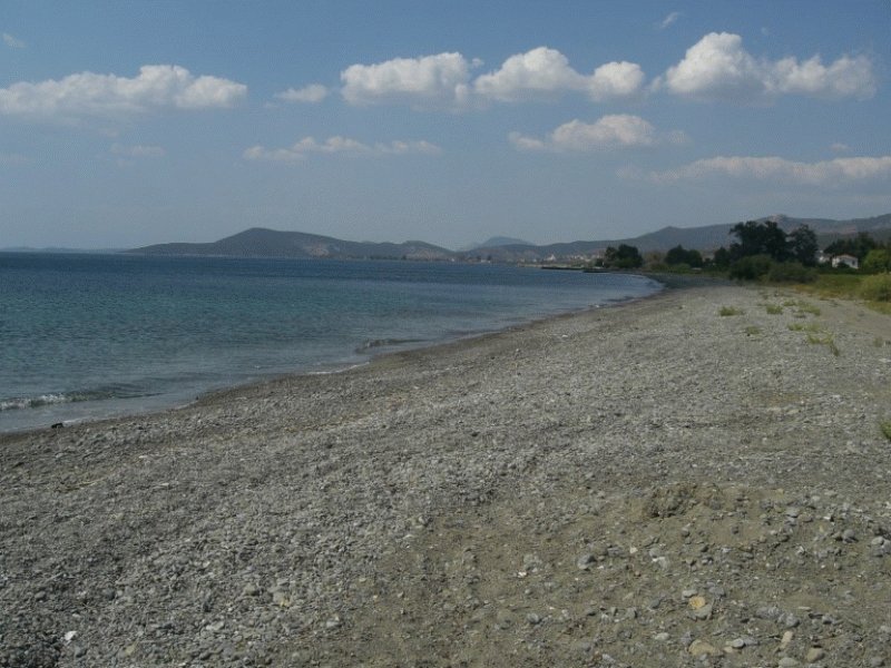 Το Δημόσιο ξεπουλάει: Αρχοντικά, ξενοδοχεία, οικόπεδα και βιομηχανικοί χώροι βγαίνουν στο σφυρί [εικόνες] | iefimerida.gr 0