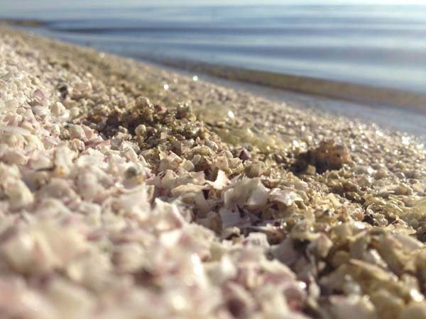 Γιατί αυτή η φαινομενικά ονειρεμένη παραλία, είναι το πιο μακάβριο μέρος για να κάτσεις [εικόνες]  | iefimerida.gr 1