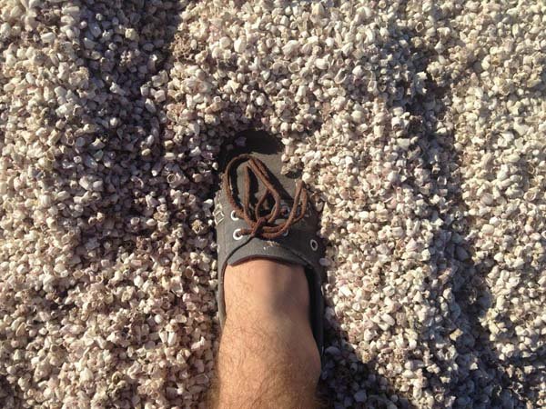 Γιατί αυτή η φαινομενικά ονειρεμένη παραλία, είναι το πιο μακάβριο μέρος για να κάτσεις [εικόνες]  | iefimerida.gr 2