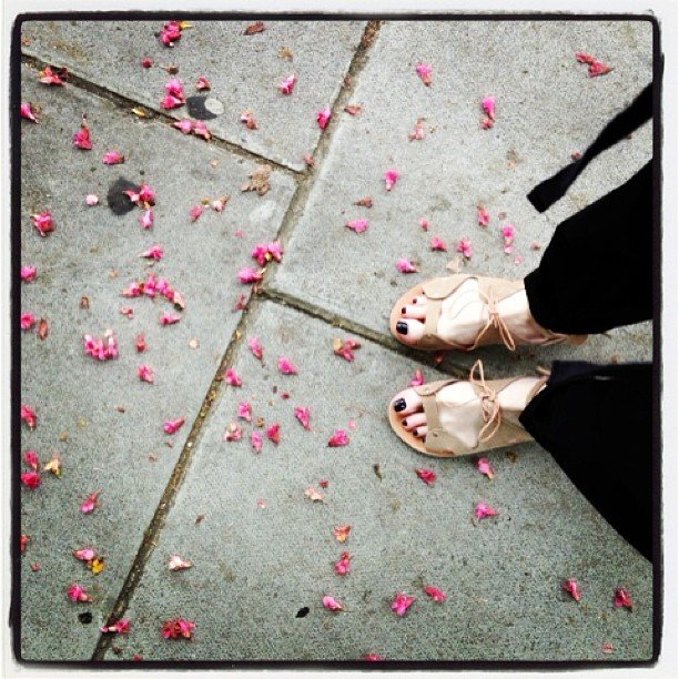 Ancient Greek Sandals: Τα ελληνικά σανδάλια που κατέκτησαν τις αγορές του κόσμου και συναρπάζουν [εικόνες]  | iefimerida.gr 6