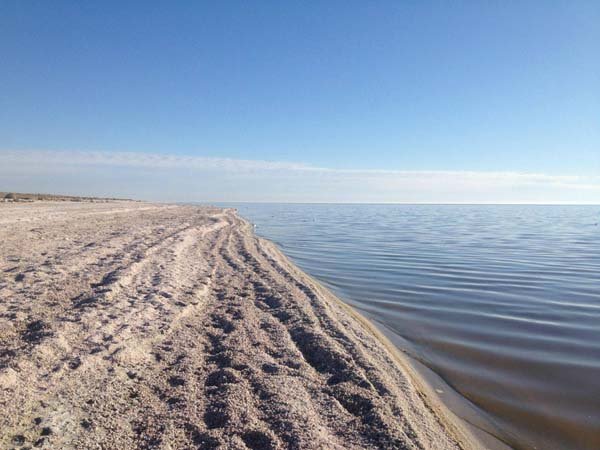 Γιατί αυτή η φαινομενικά ονειρεμένη παραλία, είναι το πιο μακάβριο μέρος για να κάτσεις [εικόνες]  | iefimerida.gr 4