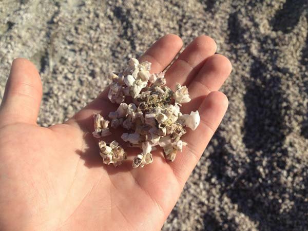 Γιατί αυτή η φαινομενικά ονειρεμένη παραλία, είναι το πιο μακάβριο μέρος για να κάτσεις [εικόνες]  | iefimerida.gr 0