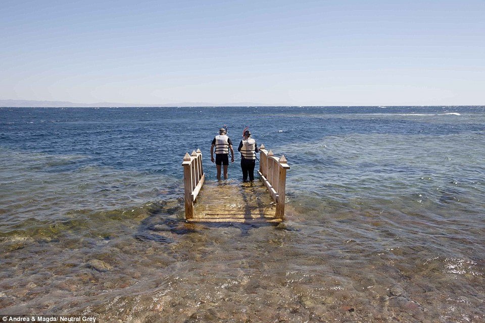 Περιοχή «φάντασμα» το Σαρμ Ελ Σέιχ: Μόνο καμήλες και λιγοστοί ντόπιοι κυκλοφορούν στους δρόμους [εικόνες] | iefimerida.gr 14