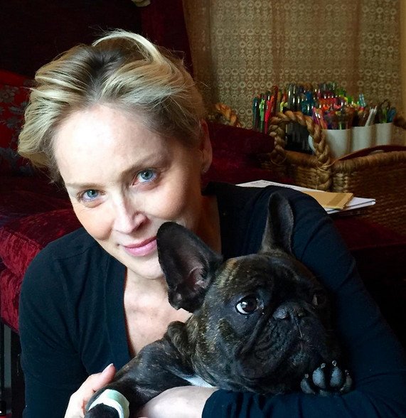 Γιατί η Σάρον Στόουν είναι η πιο ακομπλεξάριστη σταρ [εικόνες] | iefimerida.gr 2