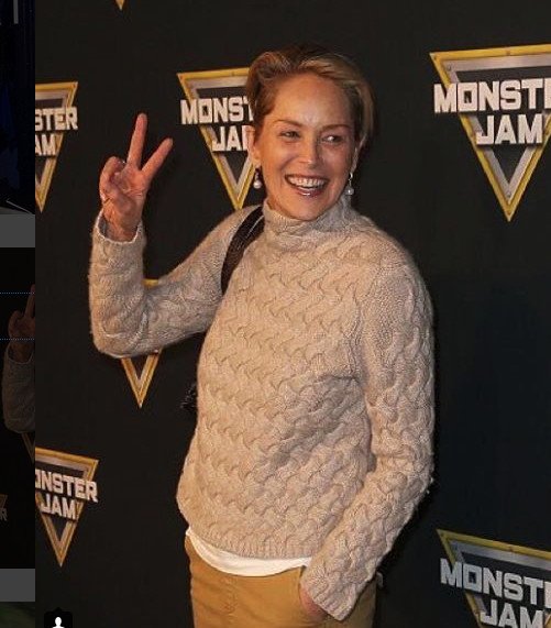 Γιατί η Σάρον Στόουν είναι η πιο ακομπλεξάριστη σταρ [εικόνες] | iefimerida.gr 3