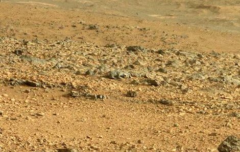 Μετά τη γοργόνα στα βράχια εντοπίστηκε σαύρα να σουλατσάρει στον Αρη [εικόνες] | iefimerida.gr 4