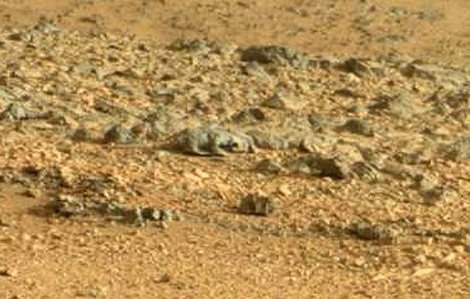 Μετά τη γοργόνα στα βράχια εντοπίστηκε σαύρα να σουλατσάρει στον Αρη [εικόνες] | iefimerida.gr 5