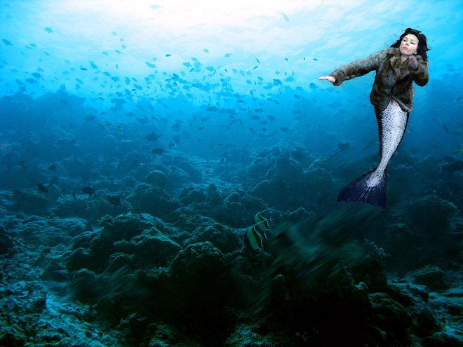 Η Σκάρλετ Γιόχανσον σκοντάφτει και το ίντερνετ λυσσάει [εικόνες] | iefimerida.gr 4