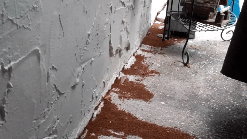 Ορδές «μανιακών» μυρμηγκιών καταλαμβάνουν τις ΗΠΑ τρώγοντας τα ηλεκτρονικά κυκλώματα υπολογιστών [εικόνες, βίντεο] | iefimerida.gr 1