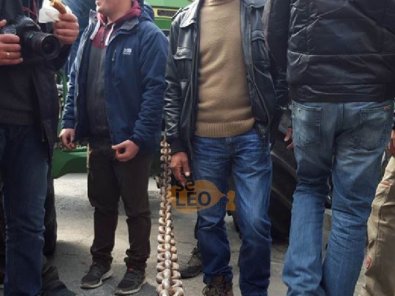 Ενταση στη Θεσσαλονίκη: Τρακτέρ πολιορκούν το υπουργείο Μακεδονίας-Θράκης | iefimerida.gr 3