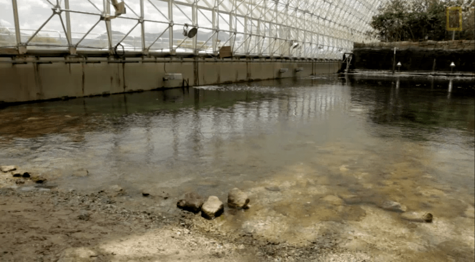 Ωκεανό στη μέση της ερήμου της Αριζόνα κατασκευάζουν Αμερικανοί ερευνητές [εικόνες] | iefimerida.gr 2