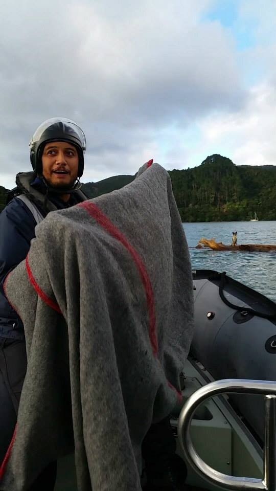 Σκύλος ναυαγός επέζησε για μέρες επιπλέοντας πάνω σε μία σανίδα [εικόνες] | iefimerida.gr 1