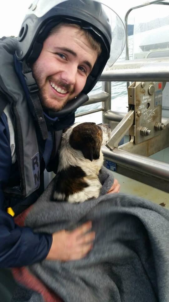 Σκύλος ναυαγός επέζησε για μέρες επιπλέοντας πάνω σε μία σανίδα [εικόνες] | iefimerida.gr 2