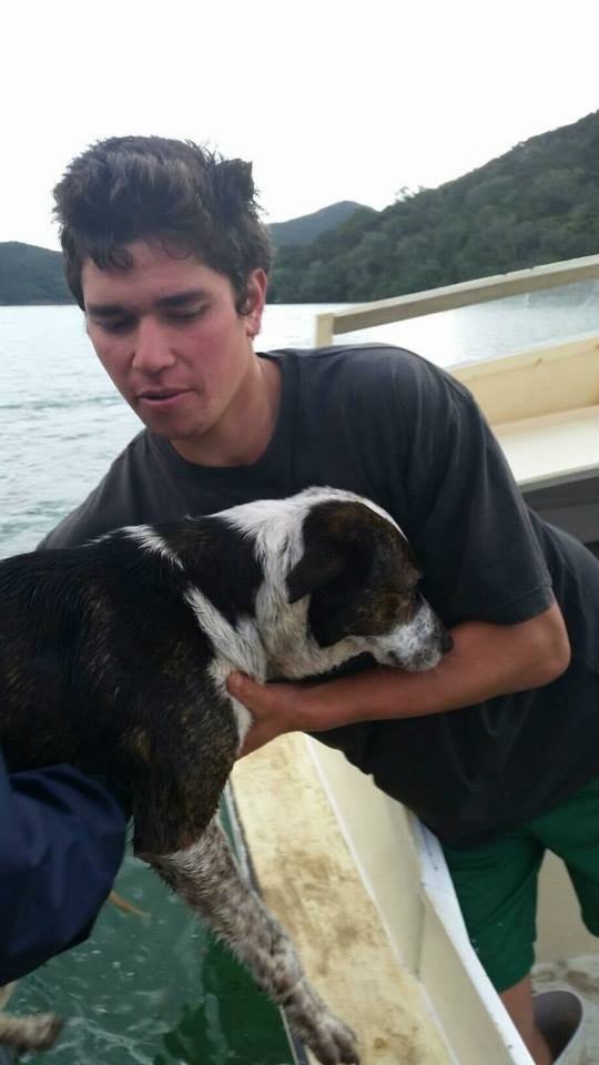 Σκύλος ναυαγός επέζησε για μέρες επιπλέοντας πάνω σε μία σανίδα [εικόνες] | iefimerida.gr 3