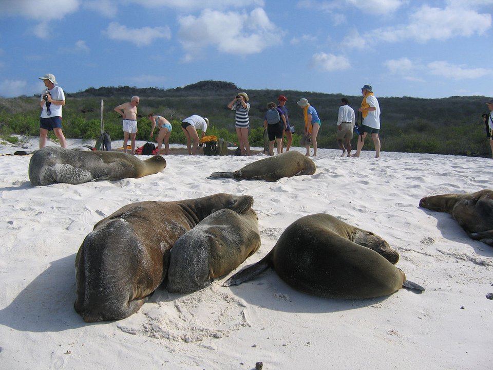 Αυτές είναι οι 10 πιο παραδεισένιες παραλίες του κόσμου -Ανάμεσά τους και μία ελληνική [εικόνες] | iefimerida.gr 5