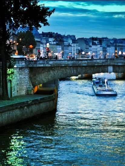 Εδιωξαν τα αυτοκίνητα από τις όχθες του Σηκουάνα -Υπέροχες βόλτες, χιλιάδες πεζοί [εικόνες] | iefimerida.gr 20