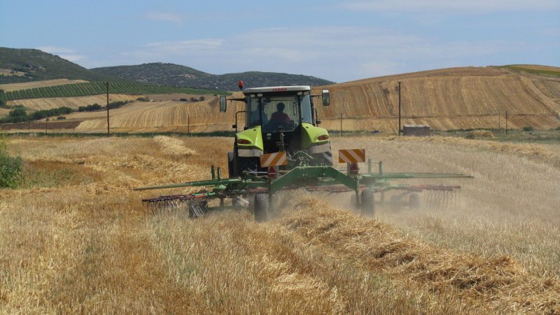 Ενεργειακός «θησαυρός» άχυρο, αγροτικά υπολείμματα και κλαδέματα δέντρων | iefimerida.gr 0