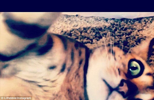 Αυτές είναι οι νέες selfies που κάνουν πάταγο και στέλνουν τις παλιές «περίπατο» [εικόνες]  | iefimerida.gr 8