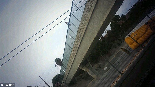 Οι selfies τις ντροπής -Εβγαζαν φωτογραφίες την ώρα που απελπισμένος άντρας επιχειρούσε να πηδήξει από γέφυρα [εικόνες]  | iefimerida.gr 1