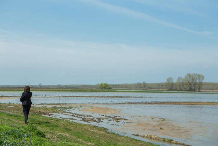 Στο έλεος των πλημμυρών οι Σέρρες -Στα 20 εκατομμύρια ευρώ η οικονομική ενίσχυση [εικόνες] | iefimerida.gr 1