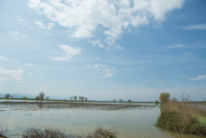 Στο έλεος των πλημμυρών οι Σέρρες -Στα 20 εκατομμύρια ευρώ η οικονομική ενίσχυση [εικόνες] | iefimerida.gr 5