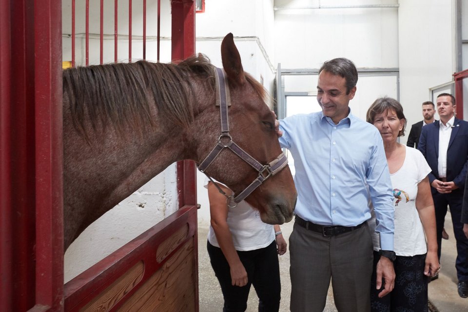 Μπουγάτσα, άλογα και βόλτα στα βουβάλια της Κερκίνης στην περιοδεία Μητσοτάκη στις Σέρρες [εικόνες]  | iefimerida.gr 6