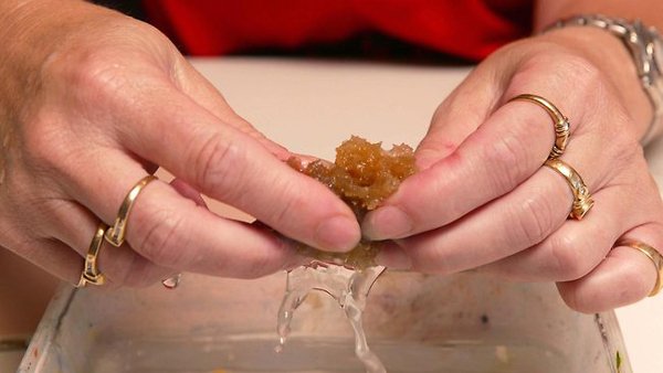 21χρονη ζει τρώγοντας σφουγγάρια και σαπούνια...με κέτσαπ! [εικόνες] | iefimerida.gr 0