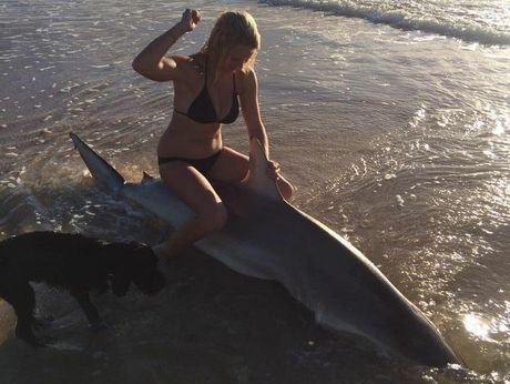 Οι αλλόκοτες selfies -Ποζάρει δίπλα σε νεκρούς καρχαρίες και προκαλεί αντιδράσεις [εικόνες] | iefimerida.gr 1