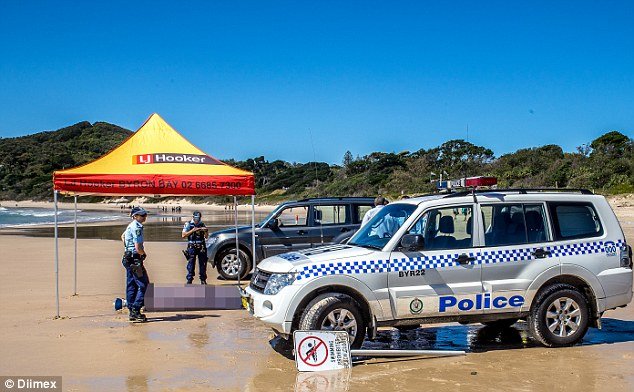 Τρόμος από επίθεση λευκού καρχαρία: «Είδα ένα πτερύγιο και μετά η θάλασσα γέμισε με αίμα» [εικόνες] | iefimerida.gr 0